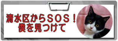 SOS�I������